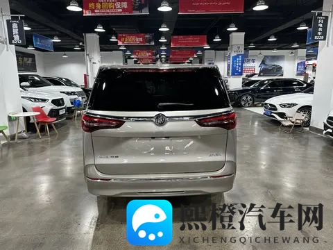 24万不到,宜商宜家之选——准新2022款别克GL8陆尊-2