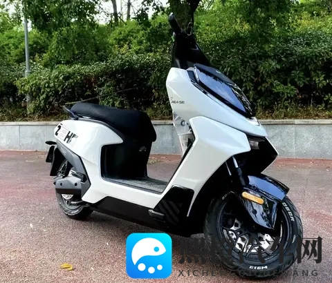 电动车选购指南：车型与电池怎么选？告别选择纠结-2