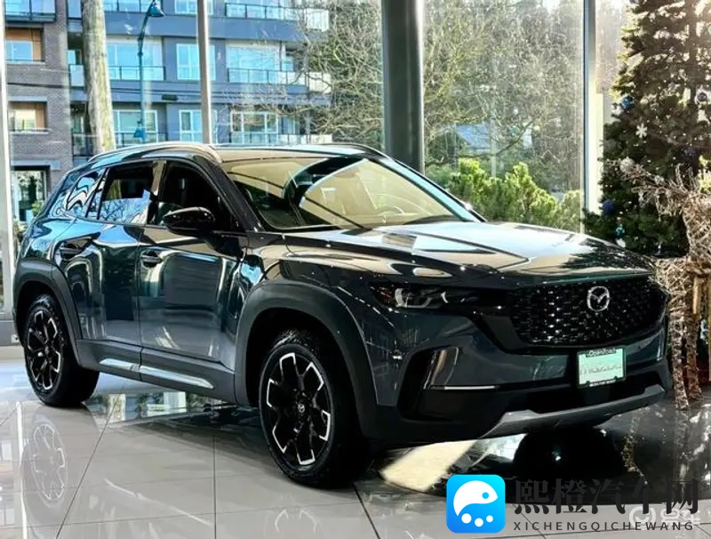 特大黑人啪娇小亚裔mq4:小型SUV新宠:颜值与实力兼具,驾驶乐趣无限-3