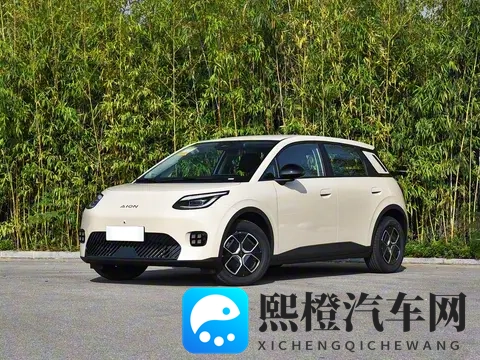 亲民版“海豚”上市！租电售价499万，续航达500Km，还支持换电-3