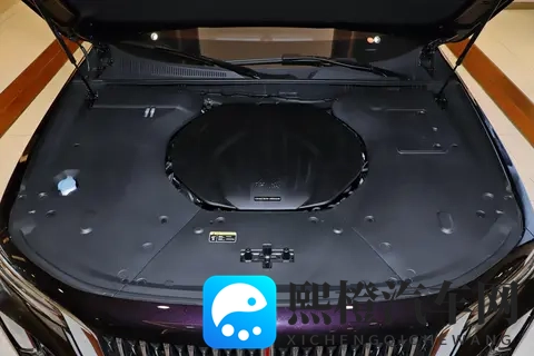 2025款红旗H9购车手册:那个版本适合你?-2