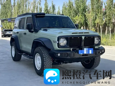 一手准新坦克300铁骑02：圆你硬派越野梦-1