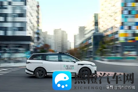 大菠萝官方人口2024:汽车销量揭秘:品牌如何逆袭市场?-2