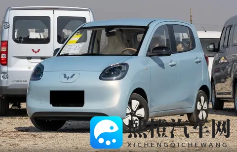 五菱宏光MINIEV购车指南，如何买到适合自己的那一款？-1