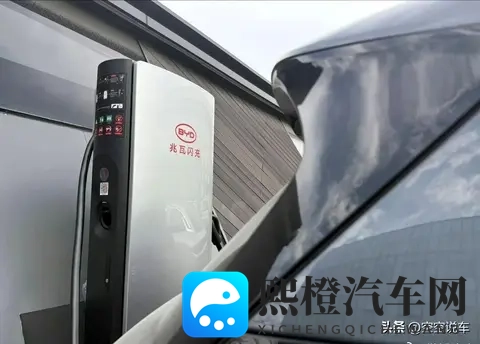 а√天堂资源在线资源:天堂宝藏,海量资源任你探索-2