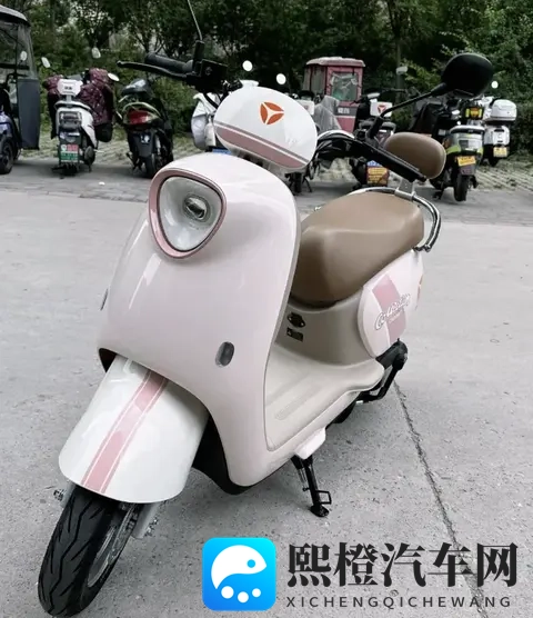 电动车选购指南：车型与电池怎么选？告别选择纠结-3