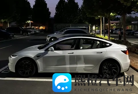 Melody满天星版:汽车新宠:星空配色,驾驭新潮流-2