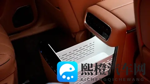 岚图泰山静态体验,都有哪些亮点?-2