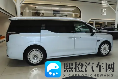 宜商宜家的极氪009，为什么成为越来越多家庭的出行伙伴？-3