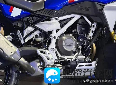 红桃视频:精彩红颜,视频盛宴-1