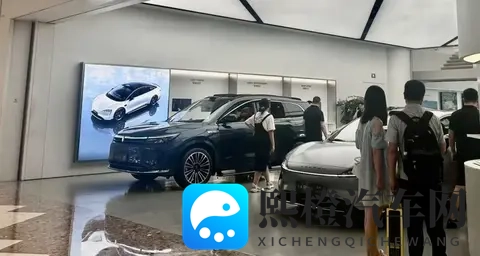 两人打扑克剧烈运动：扑克牌局中两人竞技，运动热情高涨-3