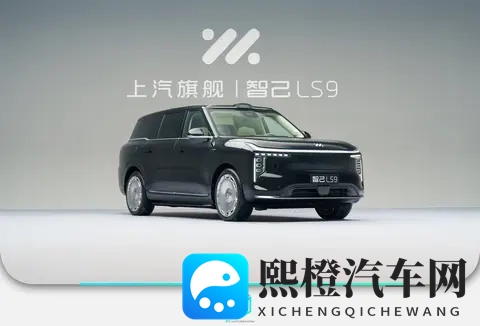 细节满满_堆料十足 智己LS9静态体验-2