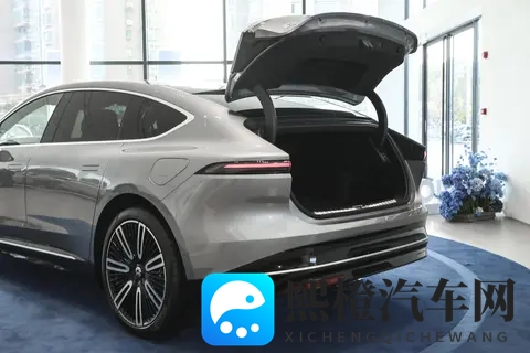蔚来ET9横空出世!挑战德系豪门,行政座驾市场要变天?-3