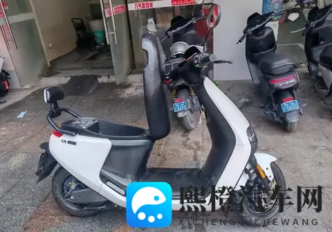 12月1日后,将有大量零公里二手电动车上市,这种车型可以买吗?-3