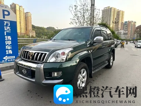 婷婷丁香五月花:五月花开婷婷美,丁香飘香醉人心-3