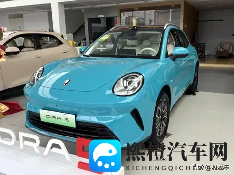 欧拉首款SUV到店实拍! 带激光雷达还有女王副驾-2