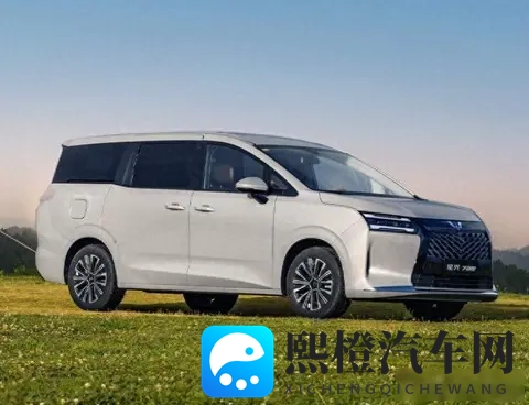 五菱别克小鹏齐上阵,MPV不再只给老板坐,家庭出行悄悄变了天-3