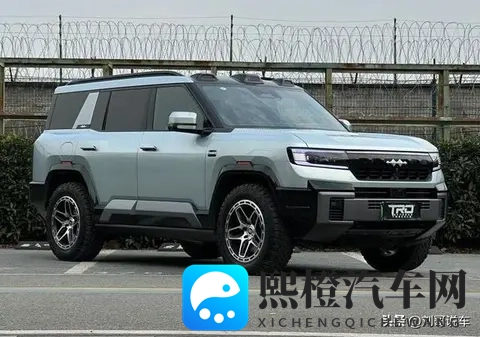 中大型SUV“冰火两重天”月销45万与不足500辆,谁是最大的赢家-2