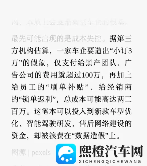 5块钱就能买一个“热情用户”？知名车评人又忍不住打假车企小订-2
