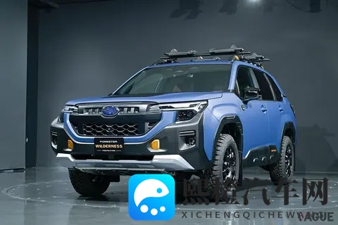 斯巴鲁展示了这款“硬派SUV”拥有卓越的越野性能-3