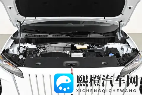 配15T插混系统 红旗HS6 PHEV开启盲订 冰箱_沙发全都有-3