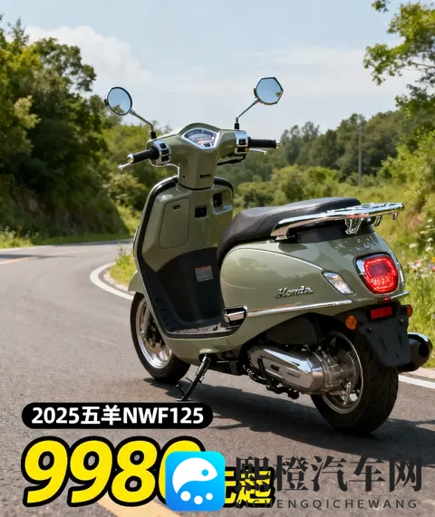 仙踪林老狼信息网的研发团队：探索仙踪林老狼网技术精英团队-1