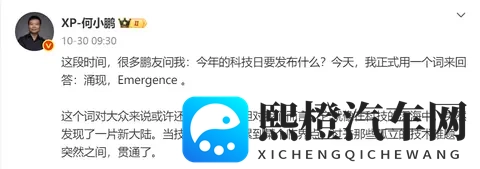 市场是否需要重估小鹏？-3