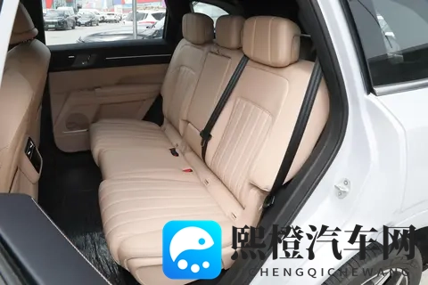 越级才豪华,999 万起售,磁悬浮豪华电七座 SUV,出行选它准没错-3