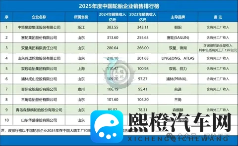 山东全省轮胎行业全景-2