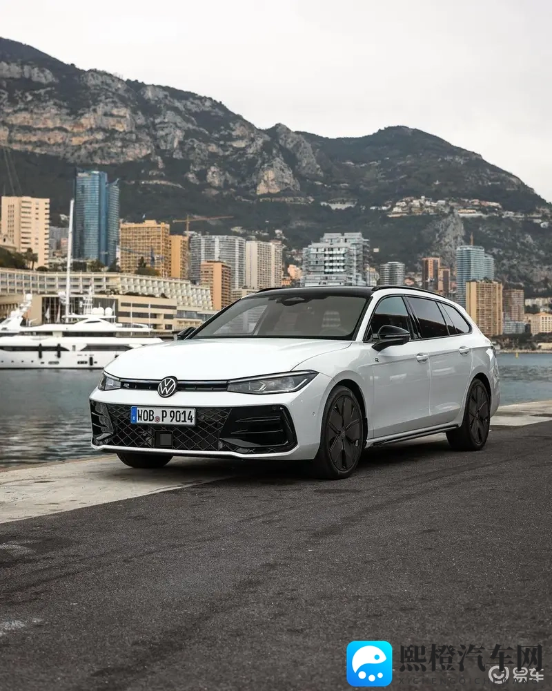 丽莎安vs黑鬼：《丽莎与神秘对手的对决》-1