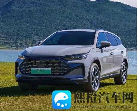 打扑克又叫又痛：玩牌声嘶力竭，身体疼痛不已-2