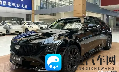 豪华B级车崩盘，捡漏还是踩坑，一场豪赌开始了-2