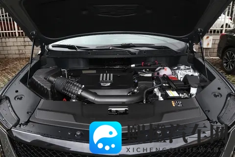 黄色app大全免费下载2023网站:2023免费下载黄色应用汇总平台-3