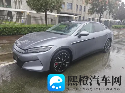 美国唐人社十次大导航:美国唐人社历经十载,探索导航新篇章-1