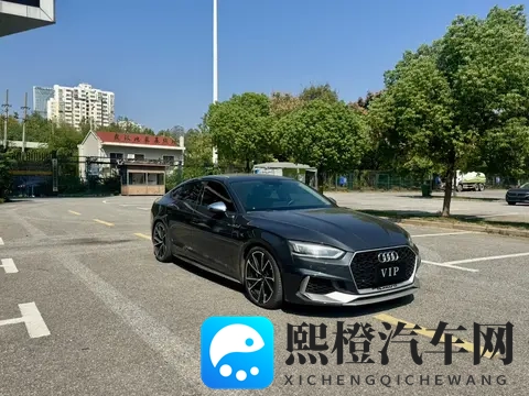 搞鸡巴网站:信息迷雾中,如何精准选对爱车-3