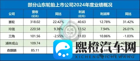 山东全省轮胎行业全景-1