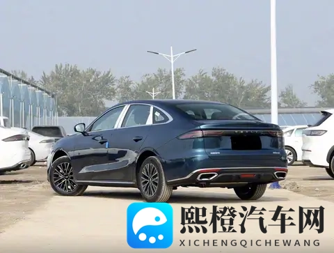 1级黄片:成人影片分级,一等级内容概览-1