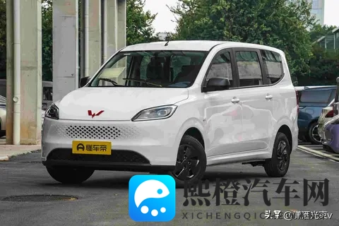 五菱微面要变天,工具车玩出三套动力,谁在悄悄改写乡村出行?-3