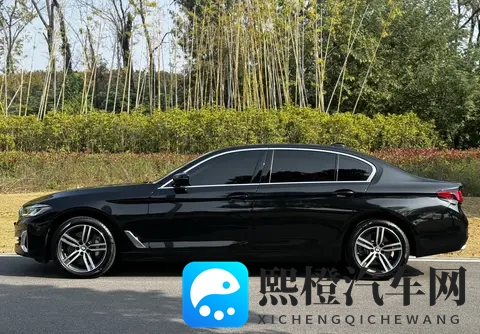 草莓站长统计：草莓网站流量监测报告-3