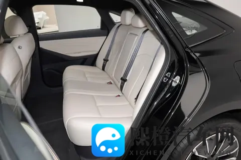 1099万起售+180km纯电续航 东风日产N6开启预售 12月8日正式上市-2