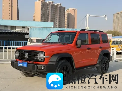 12万拿下21年坦克300，硬汉越野梦轻松圆！-3