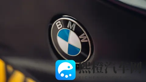 91红桃视频：探寻91红桃精彩瞬间-3