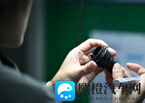 本庄优花:环保材质引领汽车内饰新潮流,座椅方向盘显神通-3