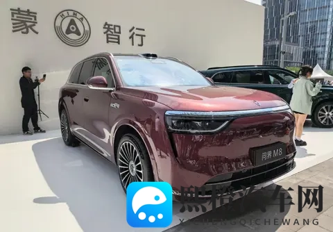 国产车企,纷纷走理想的路,让理想自己不好走了-2