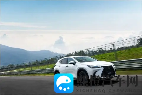 雷克萨斯不再高贵、不加价的雷克萨斯，广东人还能爱多久呢？-2