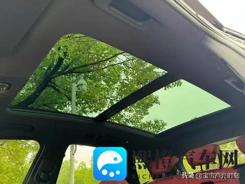 奥迪SQ5四十几万落地却乏人问津 燃油情怀撞上新能源浪潮全记录-3