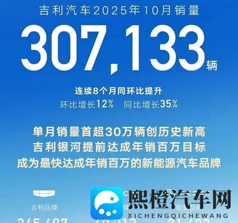 中国新能源汽车市场大混战:零跑杀出黑马比亚迪吉利打的火热-2