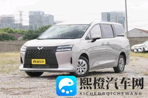 10万级家用MPV标杆！空间大，电滑门，三动力，安全舒适-1