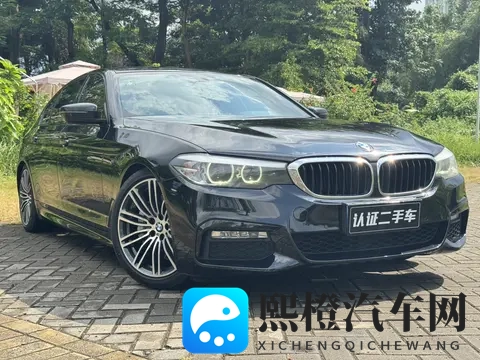 性一交一乱一交一配:汽车革命:个性化定制,智能出行新纪元-2