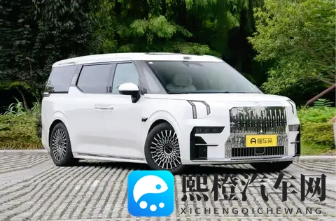 800V快充+双腔空悬+CCD減振,极氪009七座过道版可商可家超实用-1